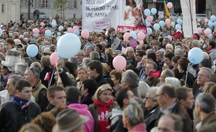 Des manifestants contre le mariage pour tous à Lyon, le 17 novembre 2012.
