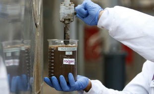 Un technicien prend un échantillon d'un réservoir utilisé pour la production d'éthanol à Piracicaba, dans l'Etat de Sao Paulo, au Brésil, le 1er octobre 2015