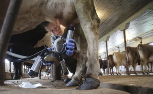 Des circuits courts à la marque "C'est qui le patron", de nombreuses initiatives de consommateurs émergent visant, entre autres, à assurer une rémunération plus juste aux producteurs.