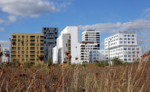A Rennes, certains quartiers champignons comme Baud-Chardonnet ont investi des friches. Désormais, c'est dans des quartiers déjà habités que les constructions se font. Et ce n'est pas toujours simple.