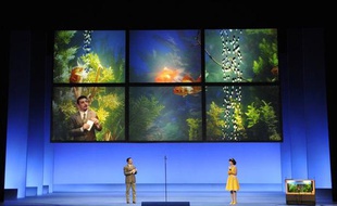 La Pietra del Paragone, janvier 2014