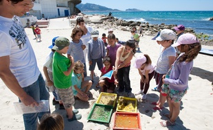Animation pour enfants sur la plage à Marseille