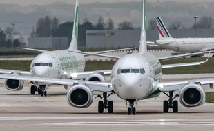 Des Boeing 737 NG de la compagnie Transavia à l'aéroport d'Orly (illustration).
