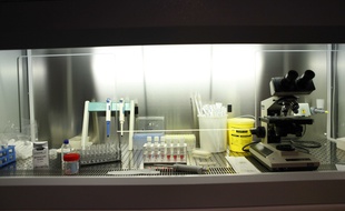 Un laboratoire. (Illustration)