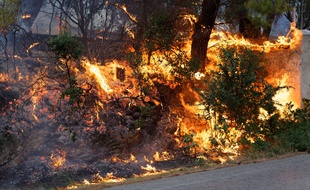 Le bilan des incendies en Grèce dans la nuit du 23 au 24 juillet a dépassé les 20 morts.