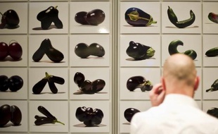 Plus de soixante pays se sont déclarés déterminés à "sécuriser l'alimentation" et à combattre la faim dans le monde dans une déclaration commune publiée en clôture d'un sommet international de ministres de l'Agriculture, dimanche à Berlin.