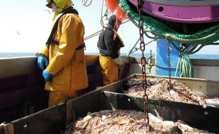 Des pêcheurs en mer.