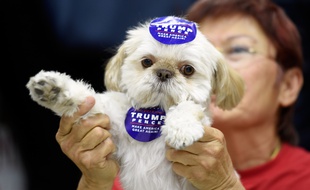 Las Vegas (Etats-Unis), le 3 novembre 2016. Un supporteur de Donald Trump a emmené son chien à un meeting.