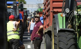 Des agriculteurs bloquent l'A7 le 23 juillet 2015 près de Lyon