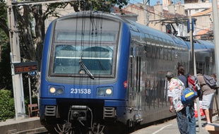 Illustration sur les trains express régionaux ( TER )
