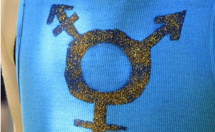 Lors de la marche des fiertés de Grenoble en 2015 organisée par le centre des lesbiennes, gays, bisexuels et transgenres (LGBT).
