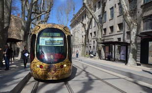 Une rame du tramway sur le boulevard Henri-IV, à Montpellier.