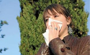 Conjonctivite, asthme et rhinite sont les principaux symptômes des allergies aux pollens d'ambroisie.
