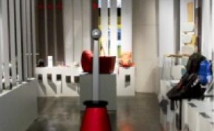 Le« robot-touriste », guidé via Internet.