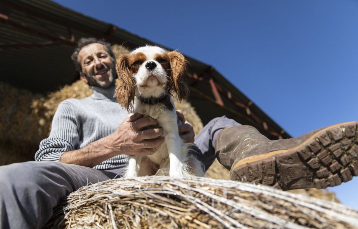 Résumé L Amour Est Dans Le Pré L'Amour est dans le pré » : Un agriculteur covidé et Macron le minet… Voici  notre résumé de l'épisode 4
