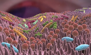 Des chercheurs de l’Institut de recherche en santé digestive ont breveté une nouvelle famille de molécules pouvant être utilisables comme médicaments antidouleur du syndrome de l’intestin irritable.