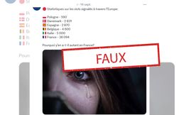 Prudence avec ces statistiques sur les viols en Europe, où la France est devant