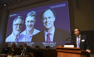 Thomas Perlmann, le secrétaire de l'Académie Nobel, a annoncé ce lundi matin les lauréats du prix Nobel de médecine.