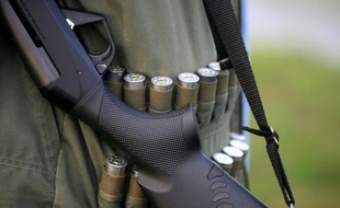 Les moratoires en vigueur depuis 2008 sur la chasse de deux espèces d'oiseaux, l'Eider à duvet et le Courlis, devraient être prochainement levés, a indiqué lundi un représentant de la Fédération nationale des chasseurs (FNC), après avoir été reçu à l'Elysée par Nicolas Sarkozy.