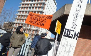 Plusieurs dizaines de militants anti-OGM ont occupé mardi pendant huit heures la Direction régionale de l'agriculture à Toulouse pour exiger l'interdiction immédiate du MON810, le maïs transgénique du géant américain Monsanto, a constaté un journaliste de l'AFP.
