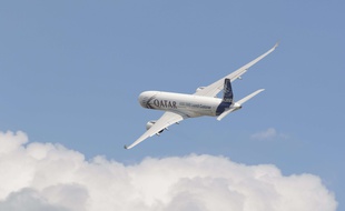 Un avion de la compagnie Qatar Airways, le 15 juillet 2014.