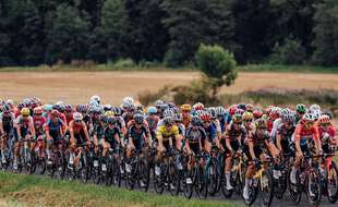 Chute Tour de France feminin