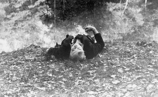 Le corps de Robert Boulin, le 30 octobre 1979.
