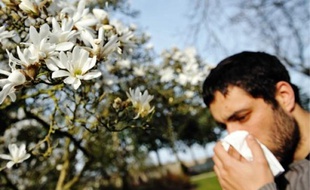 La saison des allergies aux pollens a commencé.