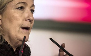 La présidente du Front national, Marine Le Pen, à La Roche-sur-Foron le 7 février 2015