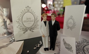 Lille, le 25 novembre 2012. Illustration sur le mariage pour tous au salon du mariage et du PACS a Lille Grand Palais.