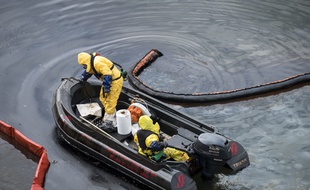 Dans un bassin du port de Rouen, les équipes de dépollution travaillent depuis dix jour sur le site de l'incendie de l'usine chimique Lubrizol. (Ici le 7 octobre 2019)