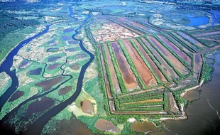 Vue aérienne du delta de la Leyre, site remarquable pour sa biodiversité, labellisé zone Ramsar aujourd'hui.