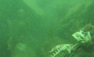 Capture d'écran d'une vidéo diffusée par le bureau du sheriff du comté de La Paz, en Arizona, qui a retrouvé deux faux squelettes au fon de la rivière Colorado, le 4 mai 2015.
