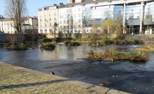 L'Erdre gelée, en centre-ville de Nantes