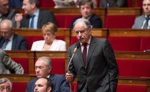 Le député écologiste Noël Mamère, le 24 avril 2013 à l'Assemblée nationale.