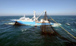 La France a regretté lundi qu'une étude internationale accusant les pêcheurs d'avoir sciemment dépassé leurs quotas de thon rouge entre 1998 et 2007 et les autorités d'avoir laissé faire, se réfère à des pratiques révolues depuis 2007.