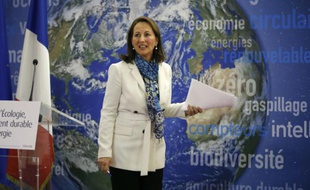 La ministre française de l'Ecologie Ségolène Royal, le 14 janvier 2016 à Paris