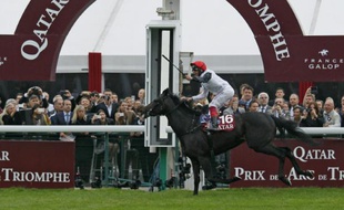 Le pur-sang anglais Golden Horn, monté par le jockey italien Lanfranco Dettori franchit en vainqueur la ligne d'arrivée du 94e Prix de l'Arc de Triomphe, le 4 octobre 2015 sur l'hippodrome de Longchamp à Paris