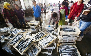 Des acheteurs et vendeurs au marché des poissons, le 10 septembre 2015 à Lianyungang, dans l'est de la Chine