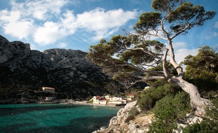 Les calanques de Marseille sont l'un des sites les plus visités en région Paca.