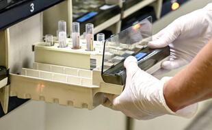 Échantillons de sang collectés pour analyse dans un laboratoire clinique d'Hazebrouck (Nord)
