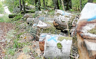 La filière bois, ici en forêt de Corbières, va devoir se développer.