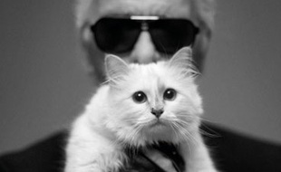 Choupette et Karl Lagerfeld.