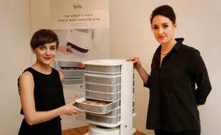 Katharina Unger (g) et Julia Kaisinger présentent leur appareil "Ruche de table", le 7 janvier 2016 à Vienne