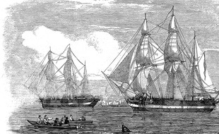 Une gravure représentant le HMS Terror, parti explorer le passage du Nord-Ouest en 1845.