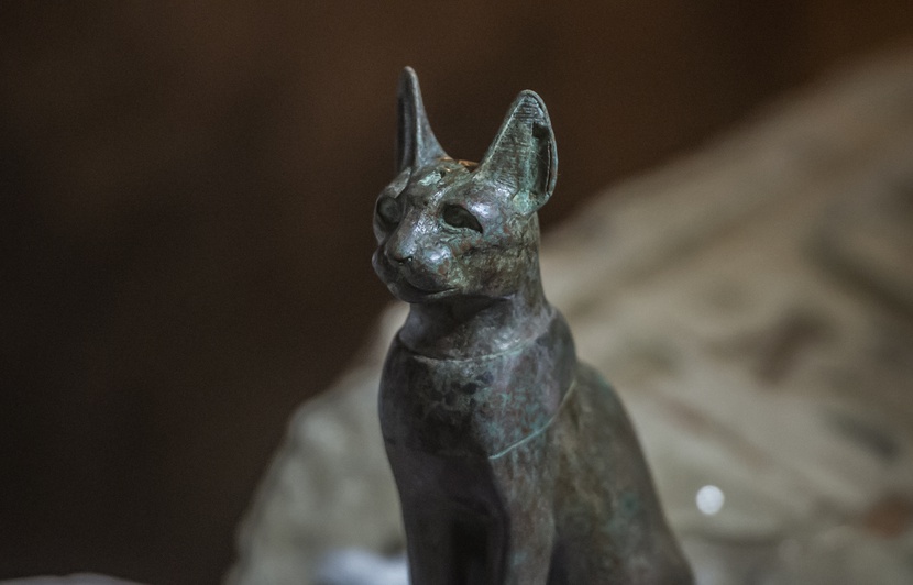 Egypte Des Tombes Du Temps Des Pharaons Decouvertes Avec Des Chats Et Des Scarabees Momifies Egypte Des Tombes Du Temps Des Pharaons Decouvertes Avec Des Chats Et Des Scarabees Momifies