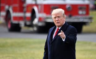Le président américain Donald Trump ne fait pas l'unanimité dans son camp et pourrait être défié aux primaires de 2020.