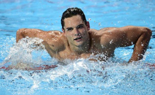 Florent Manaudou le 8 août 2015 à Kazan