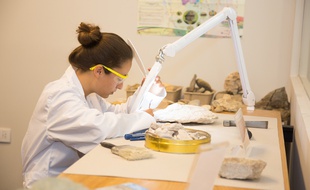 Illustration d'une femme scientifique, travaillant sur des roches