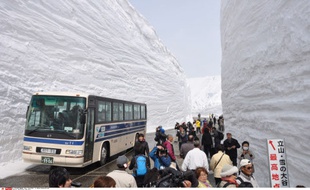 Yuki no otani, la «grande vallée de neige» flanquée de murs de neige qui peuvent atteindre 15m de haut, sur la route alpine de Tateyama Kurobe, au Japon, le 16 avril 2014.